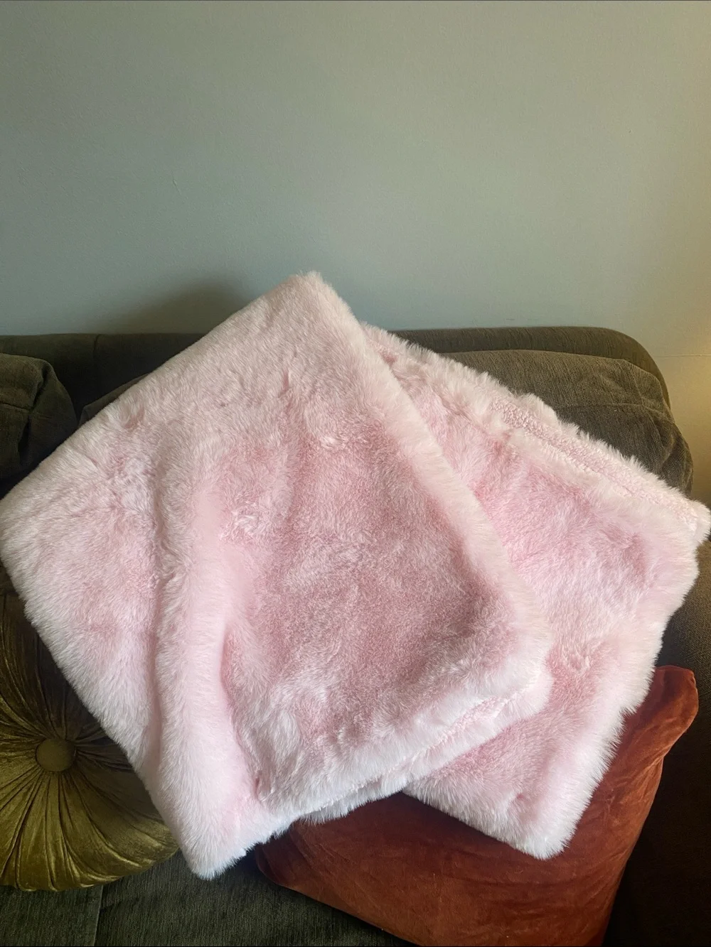 Plush Pink Baby Blanket